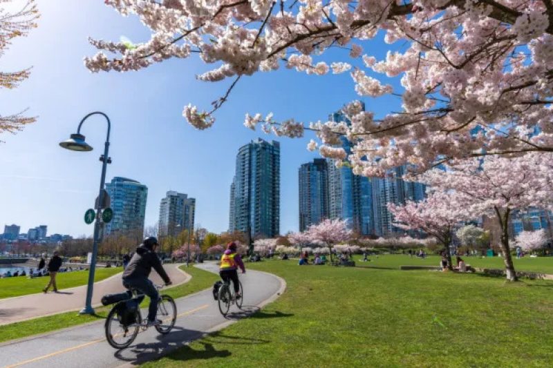 🌸Spring Is Here How to Get Back to Activities Pain-Free