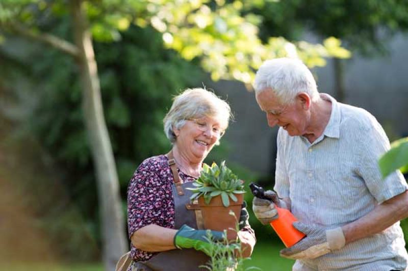 🌟 10 Daily Habits of People Who Age Well