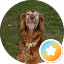 Jan Bee Avatar